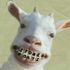 Stoned Goats
