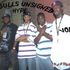 Pittbulls