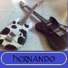Manuel Hernando