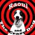 Raoul and the Crazy Dog