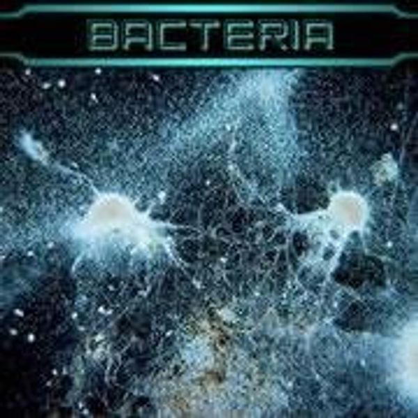 MySpace profile picture for @bacterial