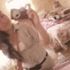 Jasmin Velarde