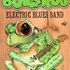 Bullfrog Electric Blues Band