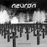 neuron