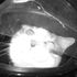 Catsronaut Henry
