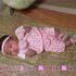 Lala babii Miller