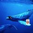 whale whaleson