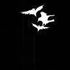 Murder of Crows