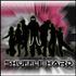 Live to Shuffle