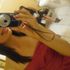 Dreauhh, Lovee