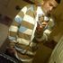 David Montoya