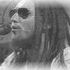 Mateus Rasta