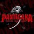 PanteganA - PANTERA TRIBUTE BAND