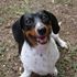Callie Doxie