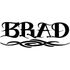 Brad Begonia