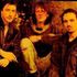 The Reegs - Definitive Collection