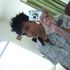 Jordan Mastin