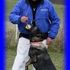 Toledo dog Ohio dog