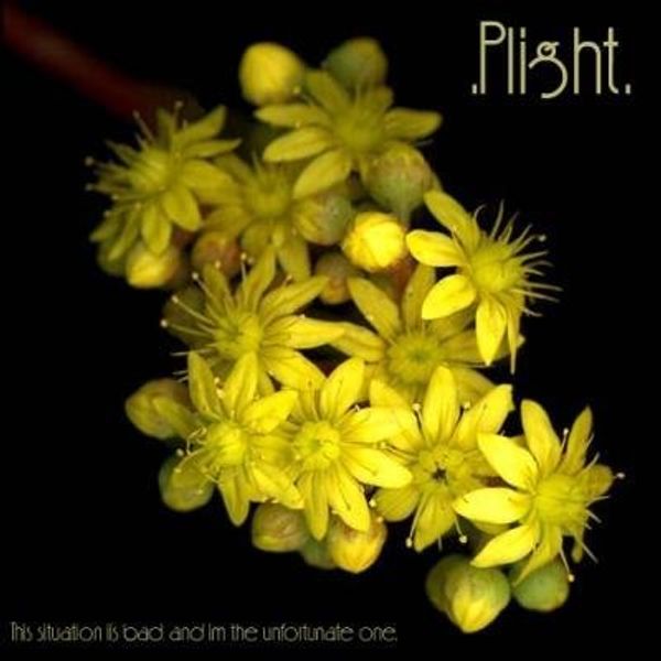 MySpace profile picture for @plight