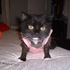 Genny Cougar Mellencamp