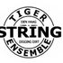 Tiger String Ensemble