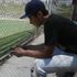 Andre Pacheco
