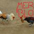 Mere Blod