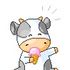 Cold Cow