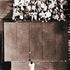 Willie Mays
