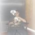 Ikell Knowles