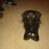 Persephone dog