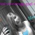 Becka Troyk