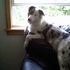 Miss Kira Durborow