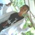 U Sahizan