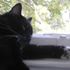 KittieBoy Anchondo