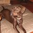 Kahlua McCarson