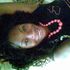 Grace