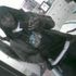 Derrick Omole