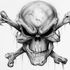 Skull And crossbones Conner