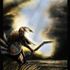 TOMAHAWK