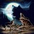 Dragon Wolfie