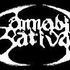 Cannabis Sativa