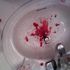 Murder In The First