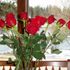 Wendie Greenfield Woollett