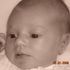 sandy Hayes-Shaver