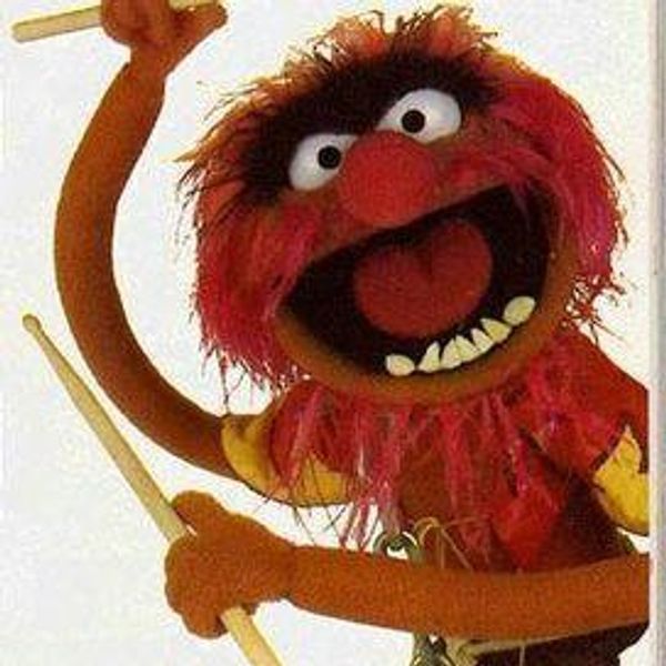 MySpace profile picture for @animal