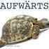 Aufwärts