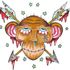 shrunken monkey