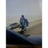 dan mcglade