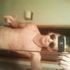 Coltin Worley